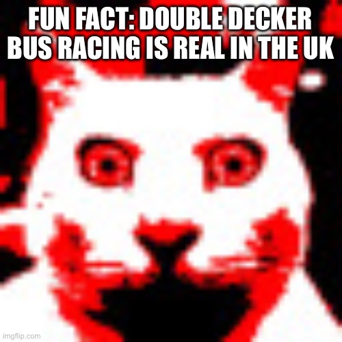 weed | FUN FACT: DOUBLE DECKER BUS RACING IS REAL IN THE UK | image tagged in weed | made w/ Imgflip meme maker
