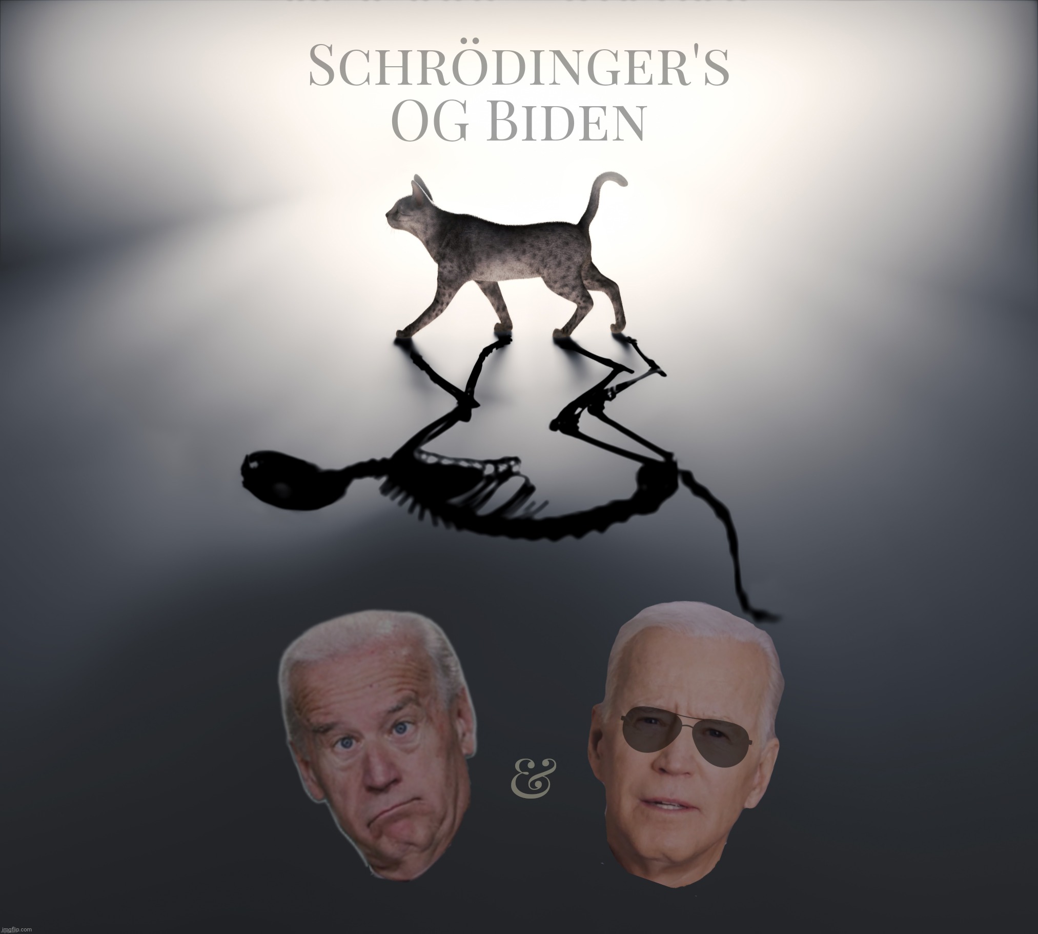 Schrodinger's Cat | Schrödinger's
OG Biden; & | image tagged in schrodinger's cat,schrodinger's biden | made w/ Imgflip meme maker