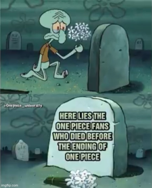 image tagged in one piece | made w/ Imgflip meme maker