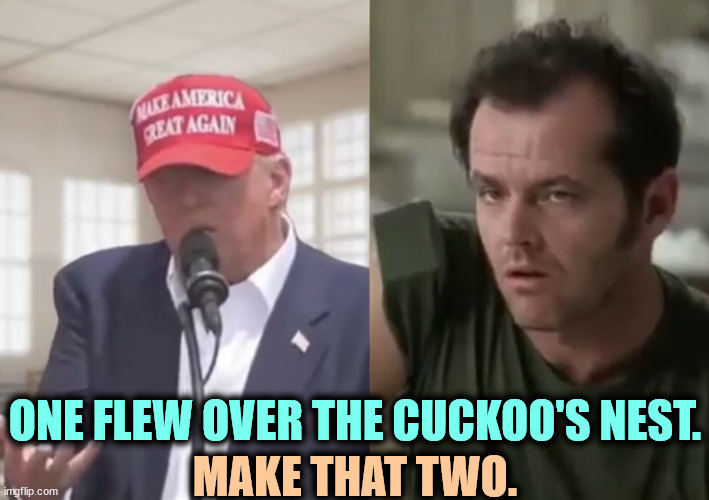 One belongs in a home. The other is Jack Nicholson. | ONE FLEW OVER THE CUCKOO'S NEST. MAKE THAT TWO. | image tagged in one flew over the cuckoo's nest jack nicholson make that two,one flew over the cuckoo's nest,jack nicholson,trump,crazy,senile | made w/ Imgflip meme maker