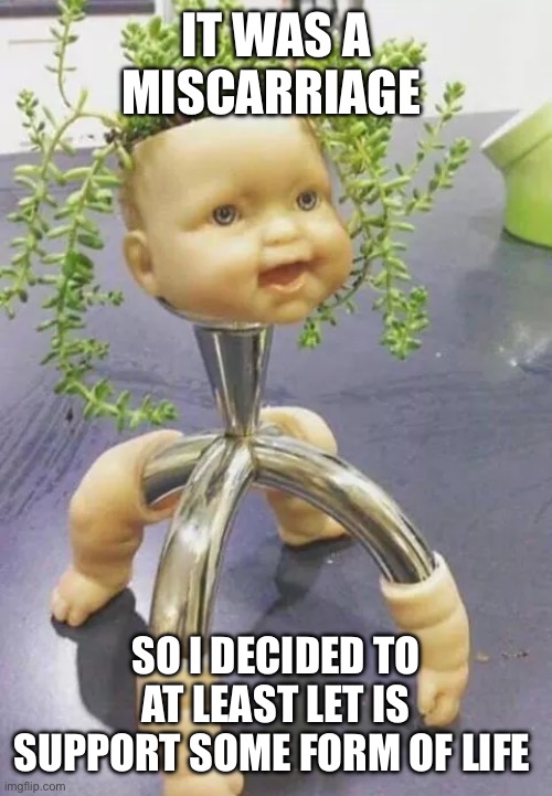 Image Title | IT WAS A MISCARRIAGE; SO I DECIDED TO AT LEAST LET IS SUPPORT SOME FORM OF LIFE | made w/ Imgflip meme maker