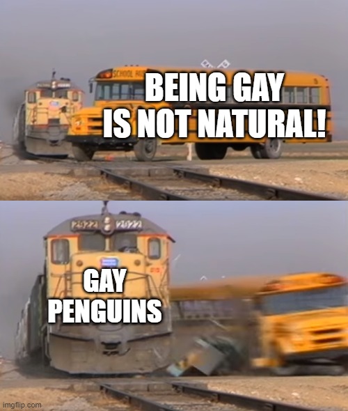 A train hitting a school bus | BEING GAY IS NOT NATURAL! GAY PENGUINS | image tagged in a train hitting a school bus,gay,penguin,s | made w/ Imgflip meme maker
