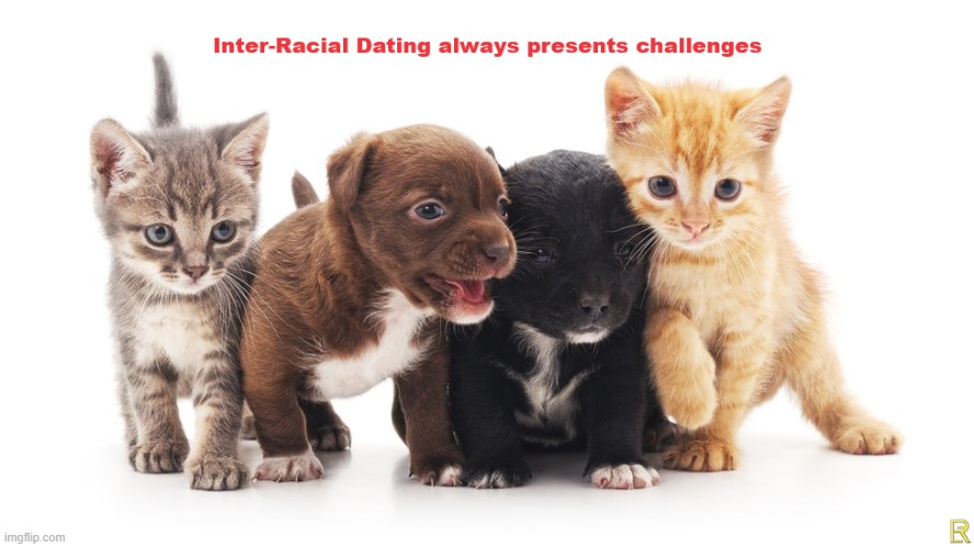 Inter-Racial Dating | image tagged in dating | made w/ Imgflip meme maker