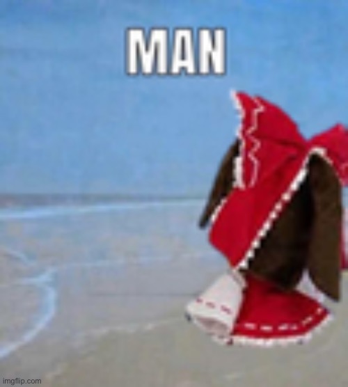 man | image tagged in man | made w/ Imgflip meme maker
