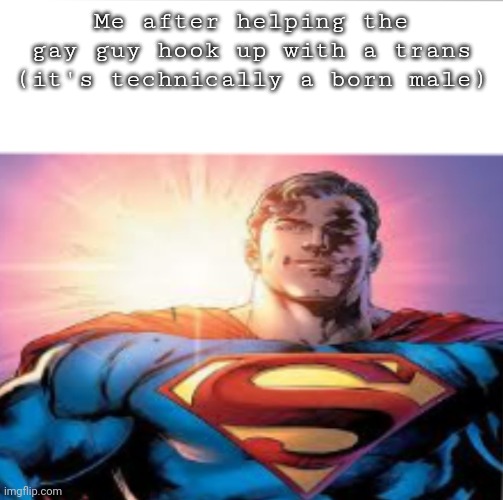 Superman starman meme | Me after helping the gay guy hook up with a trans (it's technically a born male) | image tagged in superman starman meme | made w/ Imgflip meme maker