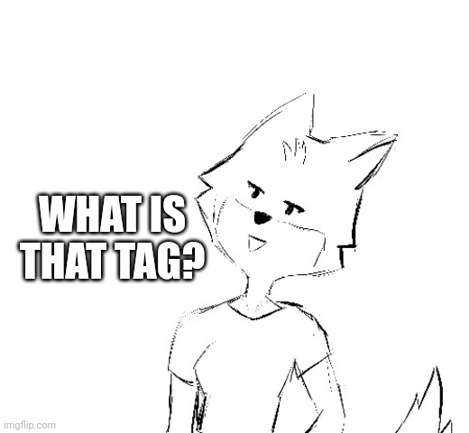 WHAT IS THAT TAG? | made w/ Imgflip meme maker