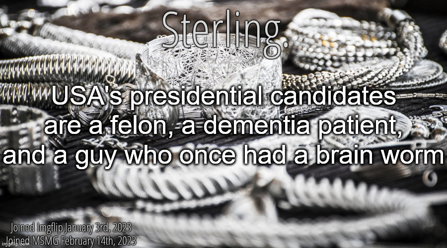 Wtf are we doing | USA's presidential candidates are a felon, a dementia patient, and a guy who once had a brain worm | image tagged in silver announcement template 8 0 | made w/ Imgflip meme maker