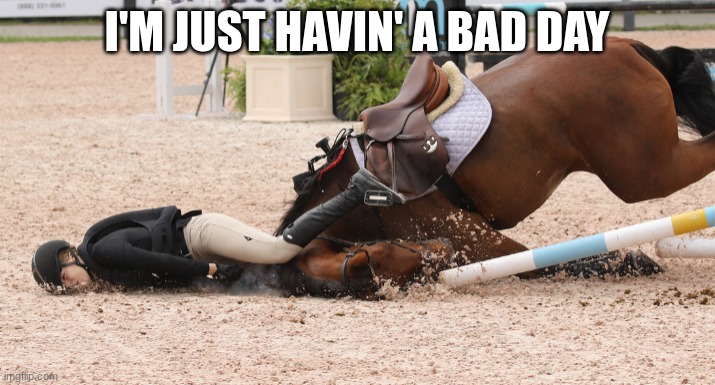 Horses | I'M JUST HAVIN' A BAD DAY | image tagged in horses | made w/ Imgflip meme maker