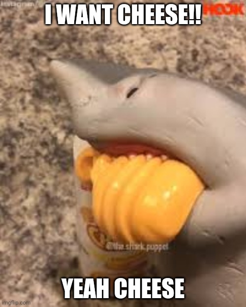 He loves cheese | I WANT CHEESE!! YEAH CHEESE | image tagged in shark puppet yeah cheese | made w/ Imgflip meme maker