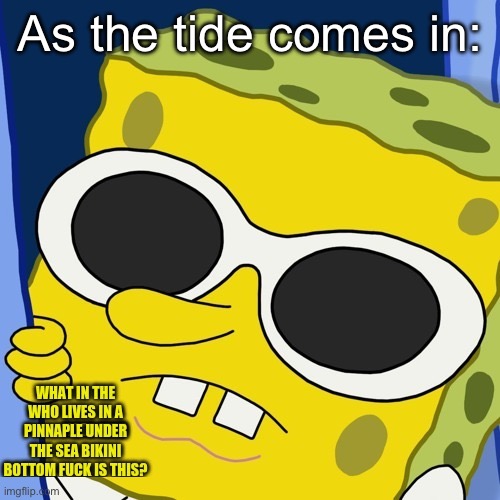 What in the who lives in a pineapple under the sea | As the tide comes in: | image tagged in what in the who lives in a pineapple under the sea | made w/ Imgflip meme maker