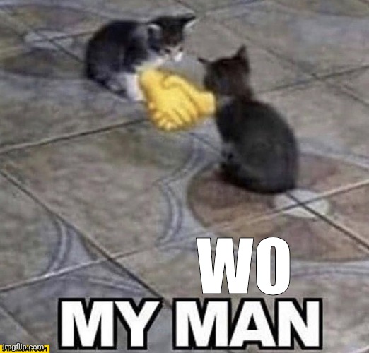 Cats shaking hands | WO | image tagged in cats shaking hands | made w/ Imgflip meme maker