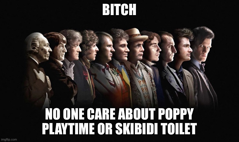 Doctor who | BITCH NO ONE CARE ABOUT POPPY PLAYTIME OR SKIBIDI TOILET | image tagged in doctor who | made w/ Imgflip meme maker