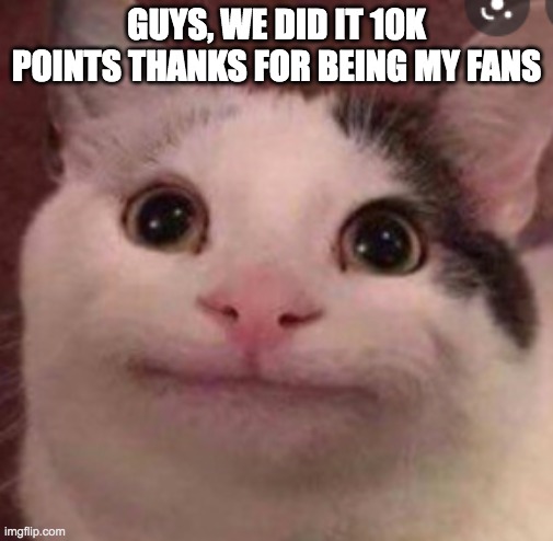 Beluga cat | GUYS, WE DID IT 10K POINTS THANKS FOR BEING MY FANS | image tagged in beluga cat | made w/ Imgflip meme maker