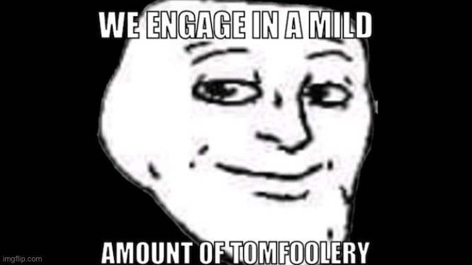 We engage in a mild amount of tomfoolery | image tagged in we engage in a mild amount of tomfoolery | made w/ Imgflip meme maker