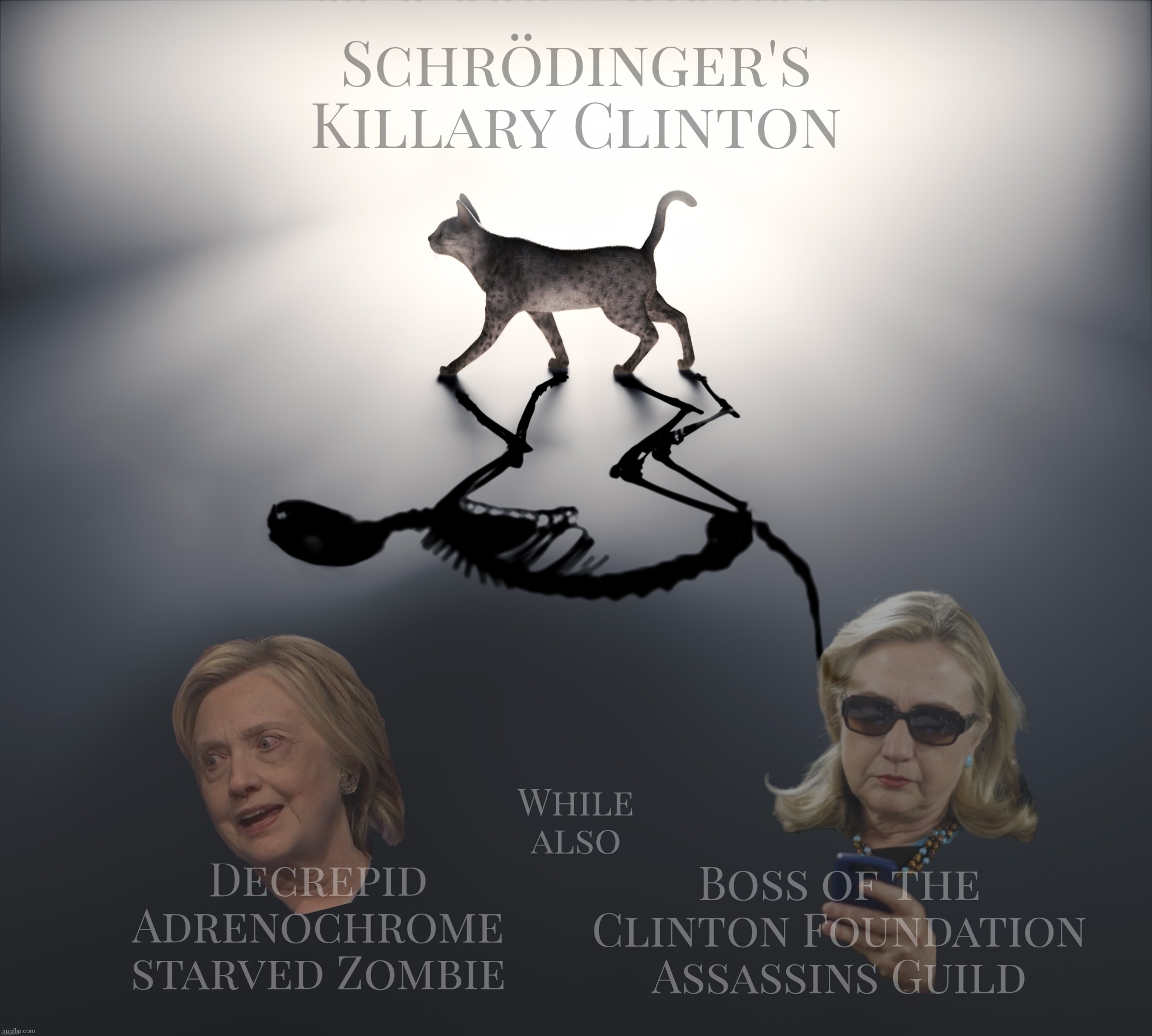 Schrodinger's Cat | Schrödinger's
Killary Clinton; While
also; Decrepid Adrenochrome starved Zombie; Boss of the Clinton Foundation Assassins Guild | image tagged in schrodinger's cat,beneath the planet of the apes | made w/ Imgflip meme maker