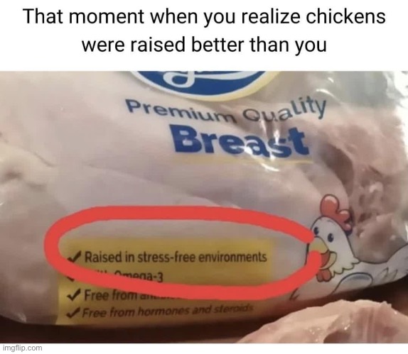 Stress free | image tagged in growing up,stress,chicken | made w/ Imgflip meme maker
