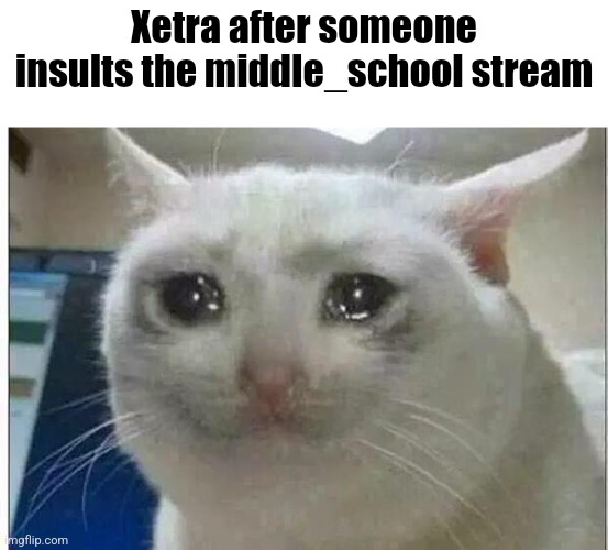 crying cat | Xetra after someone insults the middle_school stream | image tagged in crying cat | made w/ Imgflip meme maker