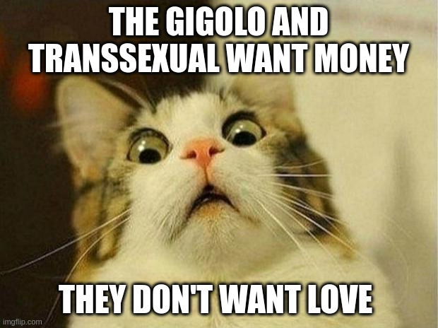 gigolo | THE GIGOLO AND TRANSSEXUAL WANT MONEY; THEY DON'T WANT LOVE | image tagged in memes,scared cat | made w/ Imgflip meme maker