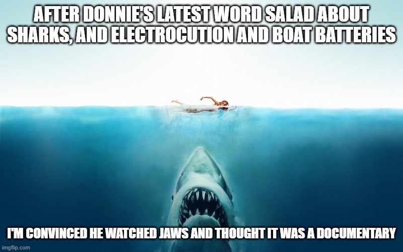 Jaws | AFTER DONNIE'S LATEST WORD SALAD ABOUT SHARKS, AND ELECTROCUTION AND BOAT BATTERIES; I'M CONVINCED HE WATCHED JAWS AND THOUGHT IT WAS A DOCUMENTARY | image tagged in jaws | made w/ Imgflip meme maker