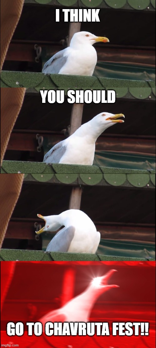 Inhaling Seagull | I THINK; YOU SHOULD; GO TO CHAVRUTA FEST!! | image tagged in memes,inhaling seagull | made w/ Imgflip meme maker