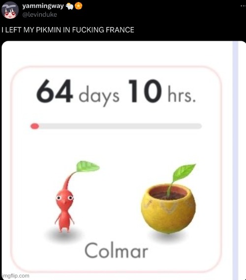 rip colmar | made w/ Imgflip meme maker