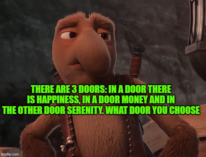 i choose serenity | THERE ARE 3 DOORS: IN A DOOR THERE IS HAPPINESS, IN A DOOR MONEY AND IN THE OTHER DOOR SERENITY. WHAT DOOR YOU CHOOSE | made w/ Imgflip meme maker
