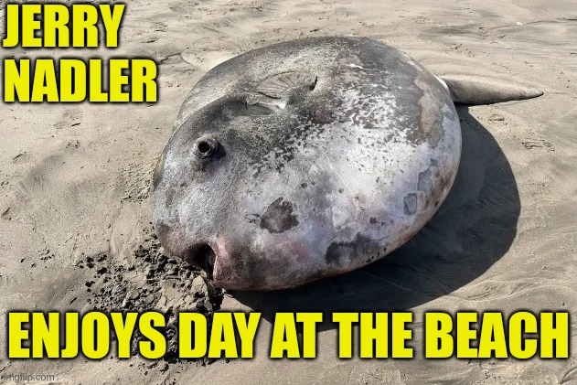 They are so disgusting these Demotards | JERRY NADLER; ENJOYS DAY AT THE BEACH | made w/ Imgflip meme maker
