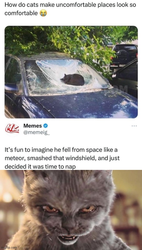 Space cat? | image tagged in evil cat,cat | made w/ Imgflip meme maker