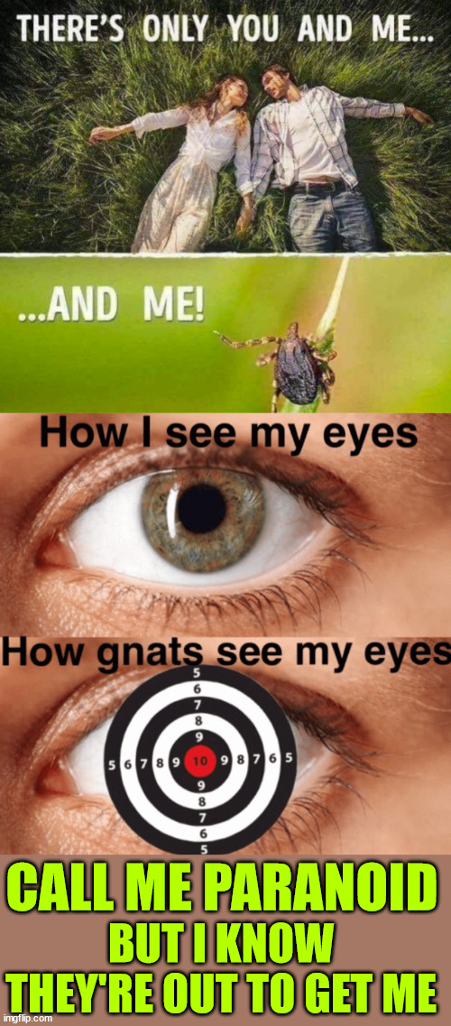 Paranoid about bugs... and let's not talk about mosquitos.. | CALL ME PARANOID; BUT I KNOW THEY'RE OUT TO GET ME | image tagged in dark humour,outdoor living,paranoid about bugs | made w/ Imgflip meme maker