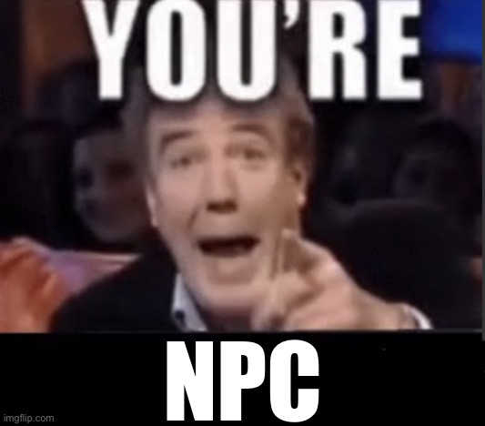 You're X (Blank) | NPC | image tagged in you're x blank | made w/ Imgflip meme maker