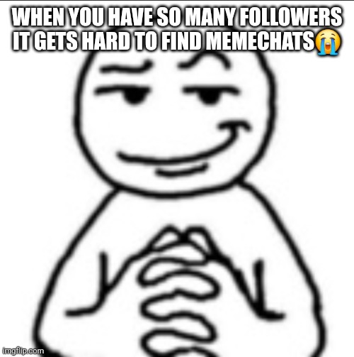 Dubious mf | WHEN YOU HAVE SO MANY FOLLOWERS IT GETS HARD TO FIND MEMECHATS😭 | image tagged in dubious mf | made w/ Imgflip meme maker