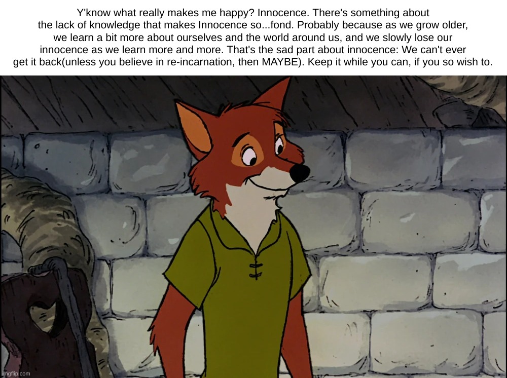 Putting a thought here, if you wish to read. | Y'know what really makes me happy? Innocence. There's something about the lack of knowledge that makes Innocence so...fond. Probably because as we grow older, we learn a bit more about ourselves and the world around us, and we slowly lose our innocence as we learn more and more. That's the sad part about innocence: We can't ever get it back(unless you believe in re-incarnation, then MAYBE). Keep it while you can, if you so wish to. | made w/ Imgflip meme maker