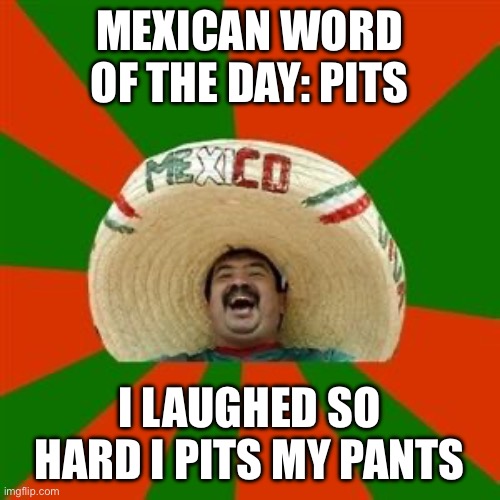 succesful mexican | MEXICAN WORD OF THE DAY: PITS; I LAUGHED SO HARD I PITS MY PANTS | image tagged in succesful mexican,mexican word of the day | made w/ Imgflip meme maker