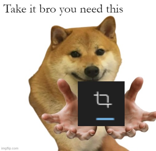 Take It Bro You Need This Blank | image tagged in take it bro you need this blank | made w/ Imgflip meme maker