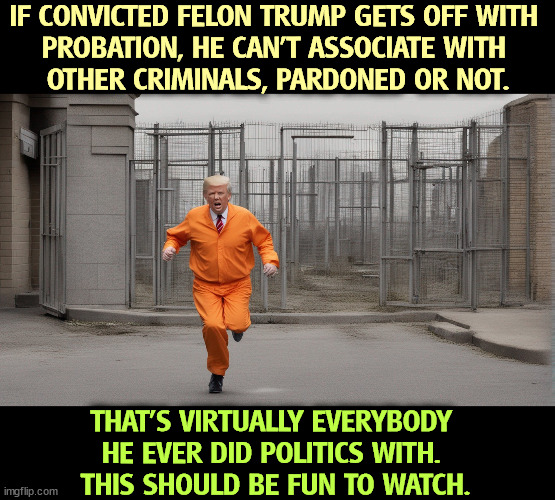 IF CONVICTED FELON TRUMP GETS OFF WITH 
PROBATION, HE CAN'T ASSOCIATE WITH 
OTHER CRIMINALS, PARDONED OR NOT. THAT'S VIRTUALLY EVERYBODY 
HE EVER DID POLITICS WITH. 
THIS SHOULD BE FUN TO WATCH. | image tagged in trump,felon,prisoner,probation,criminals,politics | made w/ Imgflip meme maker