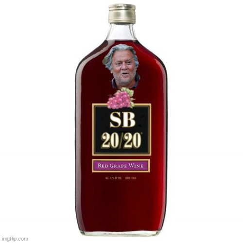 SB 20/20 yum sez Steve | image tagged in steve bannon 4 prison,md 20/20,sb 20/20,maga sour grapes,maga morion,maga minion | made w/ Imgflip meme maker