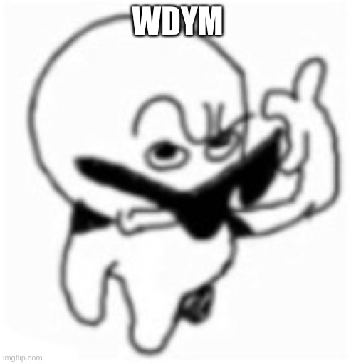 what did you say bro? | WDYM | image tagged in what did you say bro | made w/ Imgflip meme maker
