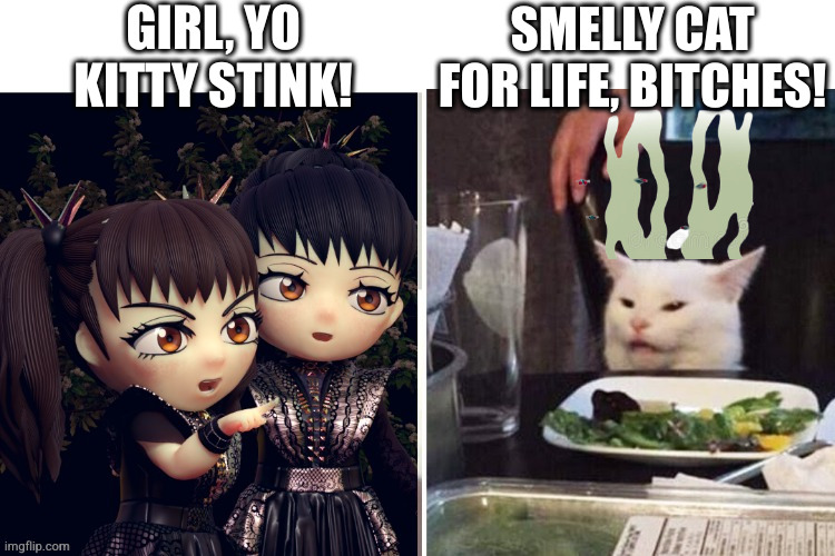 You think the smell is horrific, just imagine how bad it tastes | GIRL, YO KITTY STINK! SMELLY CAT FOR LIFE, BITCHES! | image tagged in pussy | made w/ Imgflip meme maker