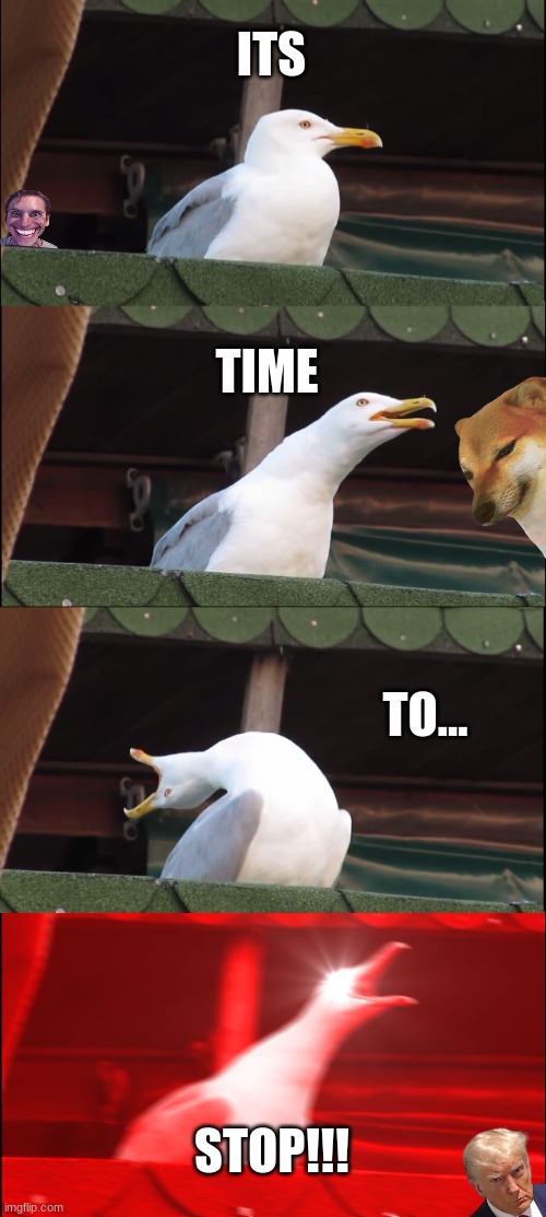 Inhaling Seagull | ITS; TIME; TO... STOP!!! | image tagged in memes,inhaling seagull | made w/ Imgflip meme maker