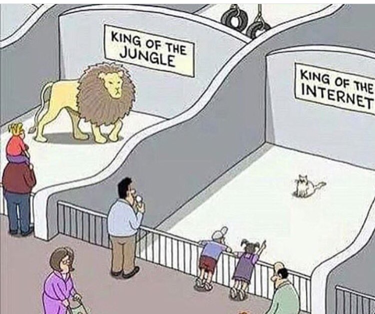 High Quality King of the jungle meme Blank Meme Template