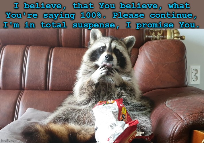 Raccoon | I believe, that You believe, what You're saying 100%. Please continue, I'm in total suspense, I promise You. | image tagged in funny memes | made w/ Imgflip meme maker