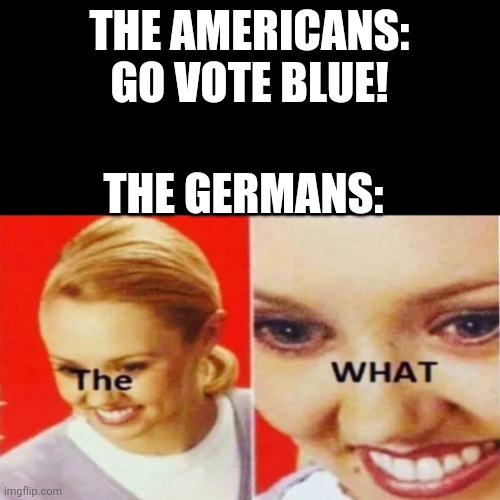 Dont vote blue | THE AMERICANS:
GO VOTE BLUE! THE GERMANS: | image tagged in the what | made w/ Imgflip meme maker