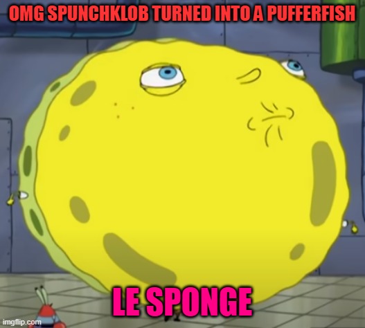 meme19 | OMG SPUNCHKLOB TURNED INTO A PUFFERFISH; LE SPONGE | made w/ Imgflip meme maker