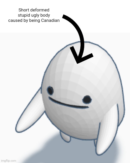 Short deformed stupid ugly body caused by being Canadian | made w/ Imgflip meme maker