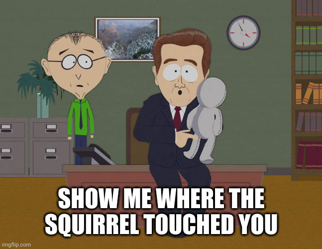 Show Me Where He Touched You On This Doll | SHOW ME WHERE THE SQUIRREL TOUCHED YOU | image tagged in show me where he touched you on this doll | made w/ Imgflip meme maker