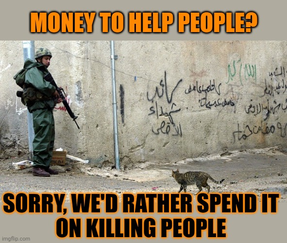 This #lolcat wonders why hoo-mens are the only animal species that kill for money and power | MONEY TO HELP PEOPLE? SORRY, WE'D RATHER SPEND IT 
ON KILLING PEOPLE | image tagged in animals,lolcat,war,innocent,think about it | made w/ Imgflip meme maker