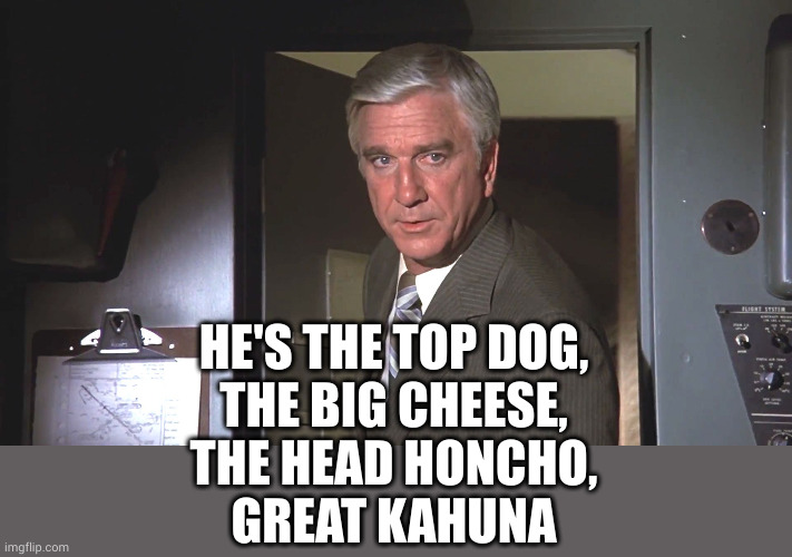 Leslie Nielsen Airplane | HE'S THE TOP DOG,
THE BIG CHEESE,
THE HEAD HONCHO,
GREAT KAHUNA | image tagged in leslie nielsen airplane | made w/ Imgflip meme maker