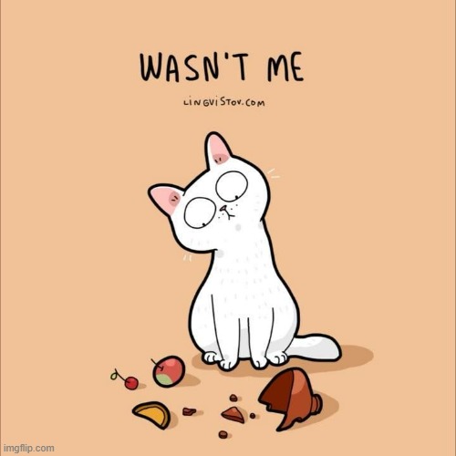 image tagged in memes,comics/cartoons,cats,broken,dishes,it wasn't me | made w/ Imgflip meme maker