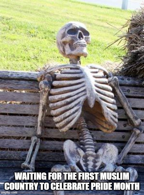 Waiting Skeleton | WAITING FOR THE FIRST MUSLIM COUNTRY TO CELEBRATE PRIDE MONTH | image tagged in memes,waiting skeleton | made w/ Imgflip meme maker