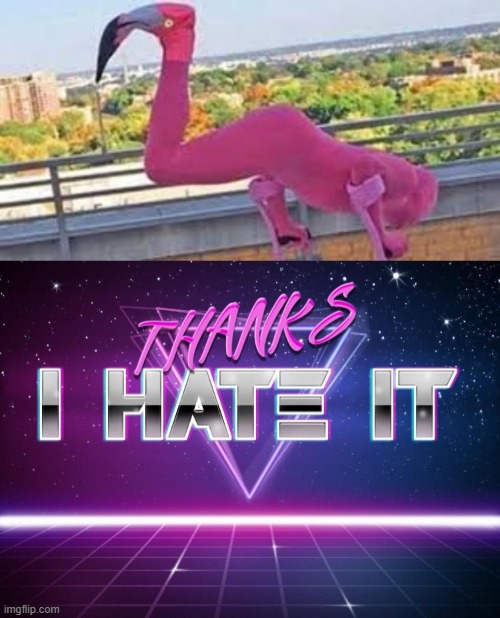 bro what happened to flamingos | image tagged in hate it | made w/ Imgflip meme maker